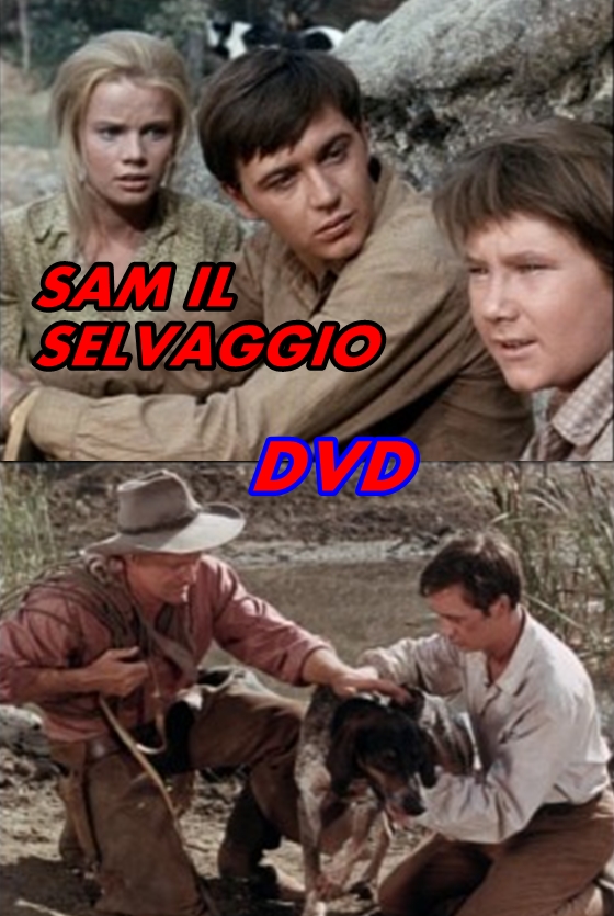 SAM_IL_SELVAGGIO_DVD_1963_Walt_Disney__Brian_Keith